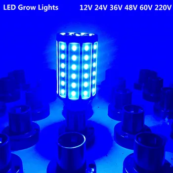 LED Lampa Za uzgoj Crvena Plava Zelena Kukuruza Downlight E27 E26 B22 lampa AC110v 220V DC12V 24V 36V 48V 60V SMD5730 svinjske tržište Тепличный lampa