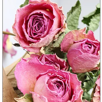 Ruža s jedne glave, Prirodni Sušeni Cvijet, 10 Glava/lot, Smještaj za mladence Kućni Uskršnje Dekoracije, poklon za Valentinovo